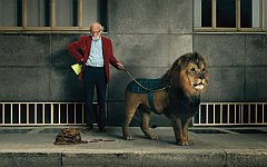 BioniX Wallpaper Extreme - Animals belong to the jungle.jpg
